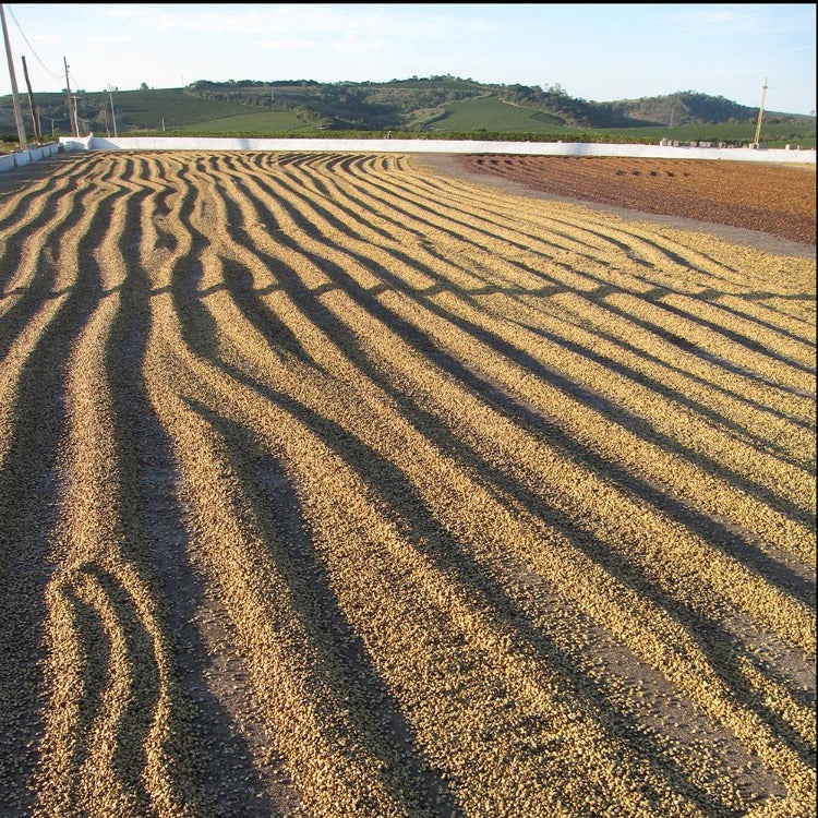 Brazil Minhas Gerais