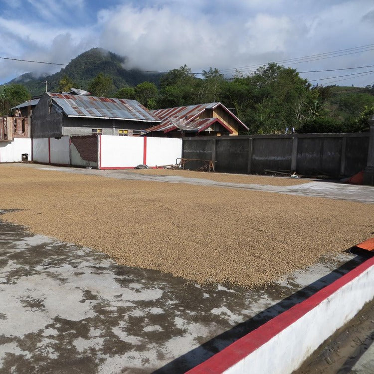 Sumatra Aceh